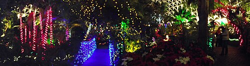 Lights Under The Dome, Riley Park