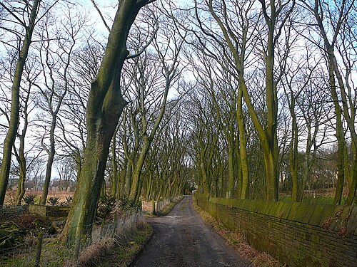 Avenue, Old Harrowins, Queensbury, Old Dolphin