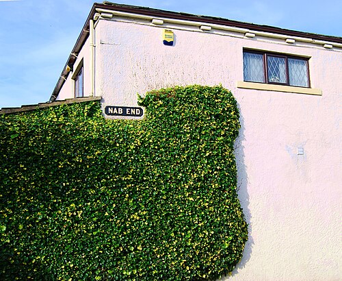 Nab End, Clayton Heights