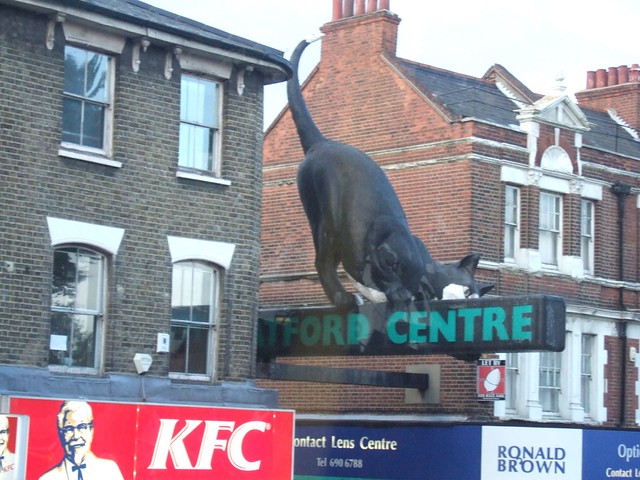 The Catford Cat, Catford