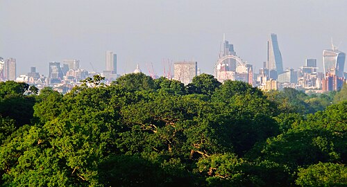 Skyline - May 2014 - Central London from Richmond Park, North Sheen