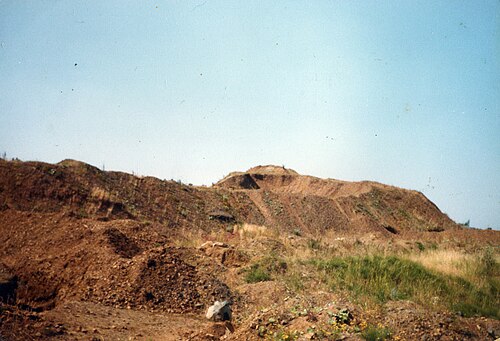 Fields 1985, Dudley Port