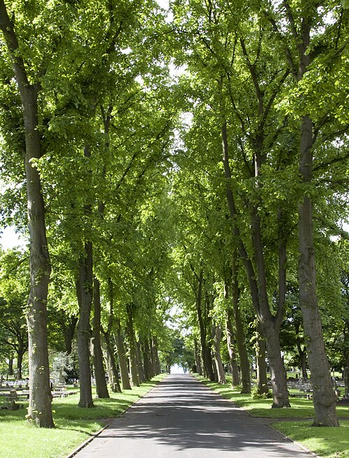 Avenue, Tame Bridge Parkway