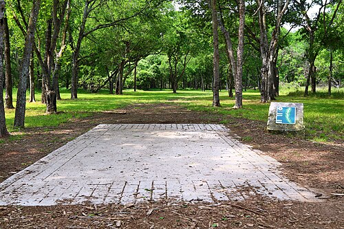 Disc Golf 1 Roy Guererro Park Austin Texas 2024, Pleasant Valley