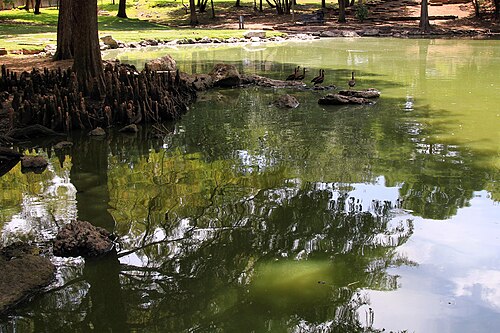 Lindshire Park Austin Texas 2022, South Brodie