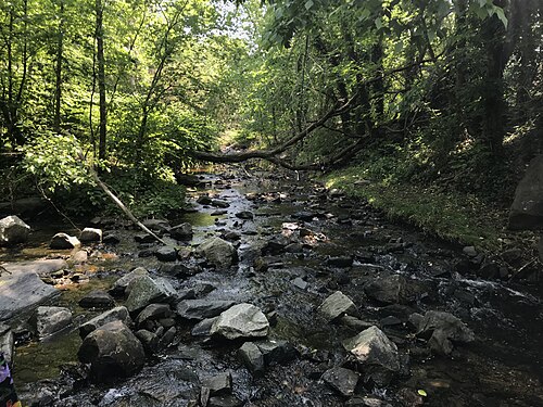 Stony Run North of Bolton Street Synagogue, 212 W. Coldspring Lane, Baltimore, MD 21210, Evergreen