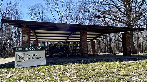 Cook County Forest Preserves Edgebrook Woods Picnic During COVID19, Forest Glen