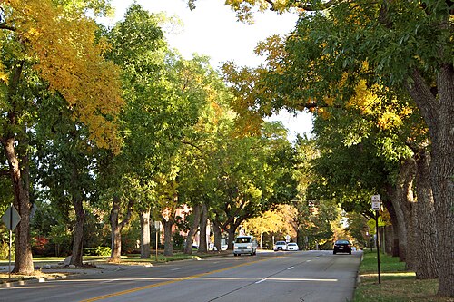 University Boulevard Denver, Cory - Merrill