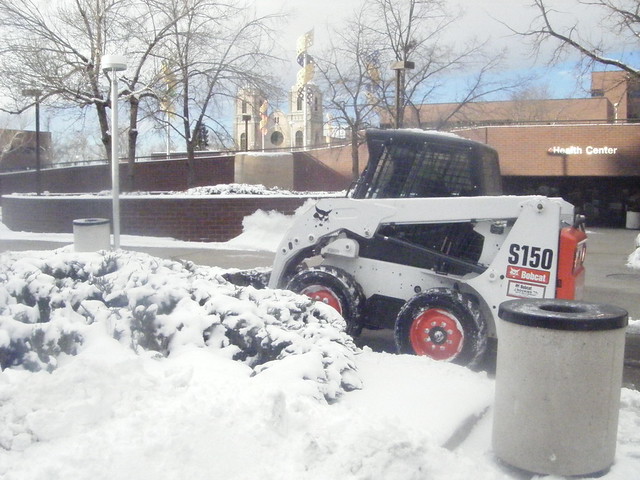 Action Shot, Auraria