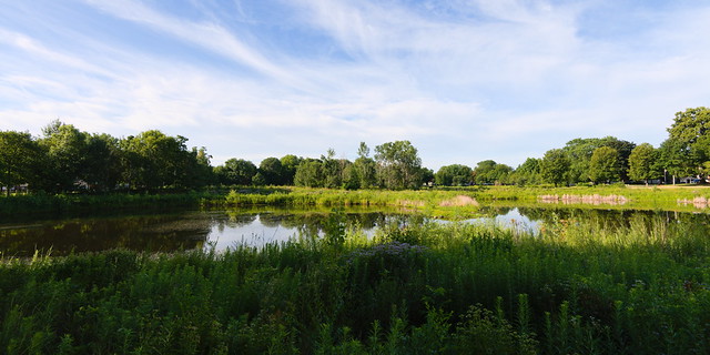 Minneapolis Neighborhood: Shingle Creek, Shingle Creek