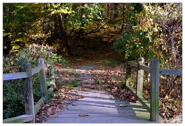 Into the Woods, Pennypack