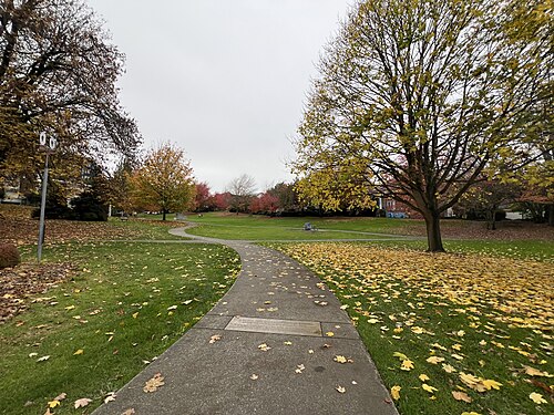 Columbia Park-Seattle, November 2024, Columbia City