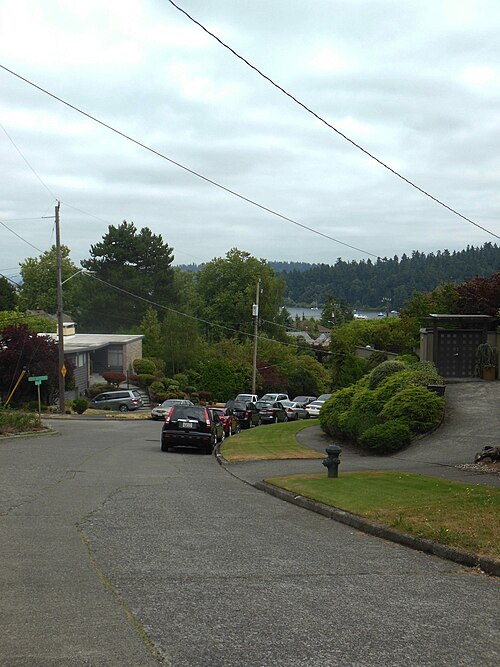 Slide Down the Hill XD, Seward Park